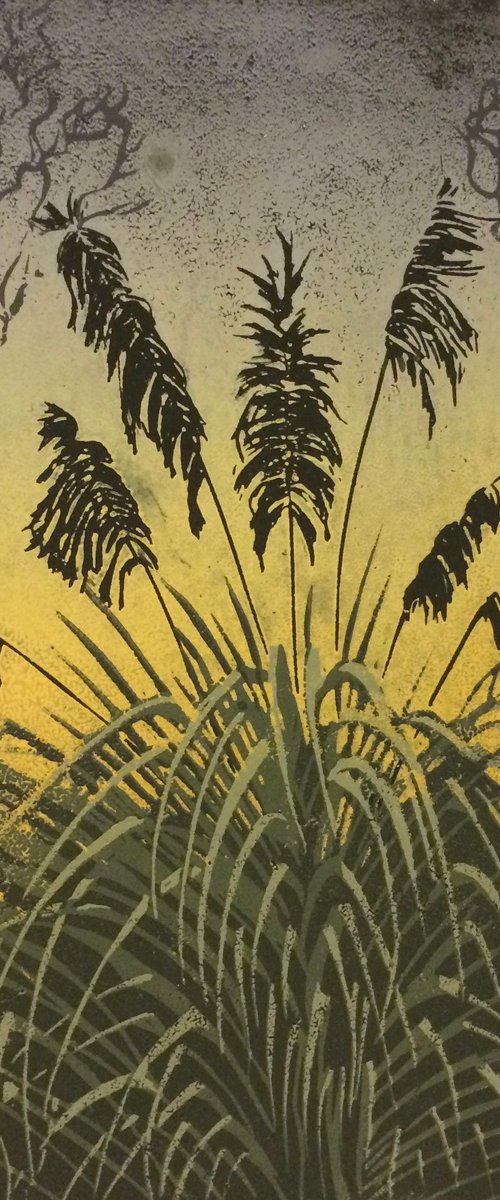 Pampas Sunset by Barbara Calderwood