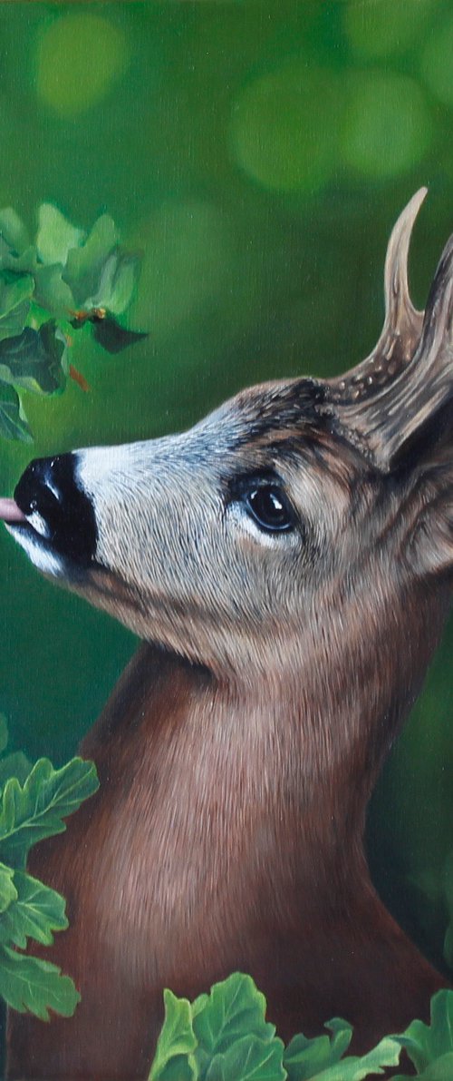 Deer by Marie Madej