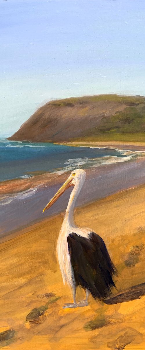 Pelican by Shelly Du