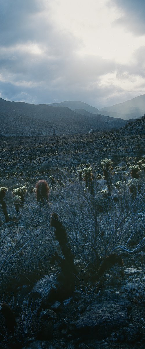 Evening Storm, Anza Borrego by Heike Bohnstengel