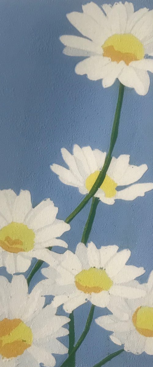 Daisies by Joanne Spencer