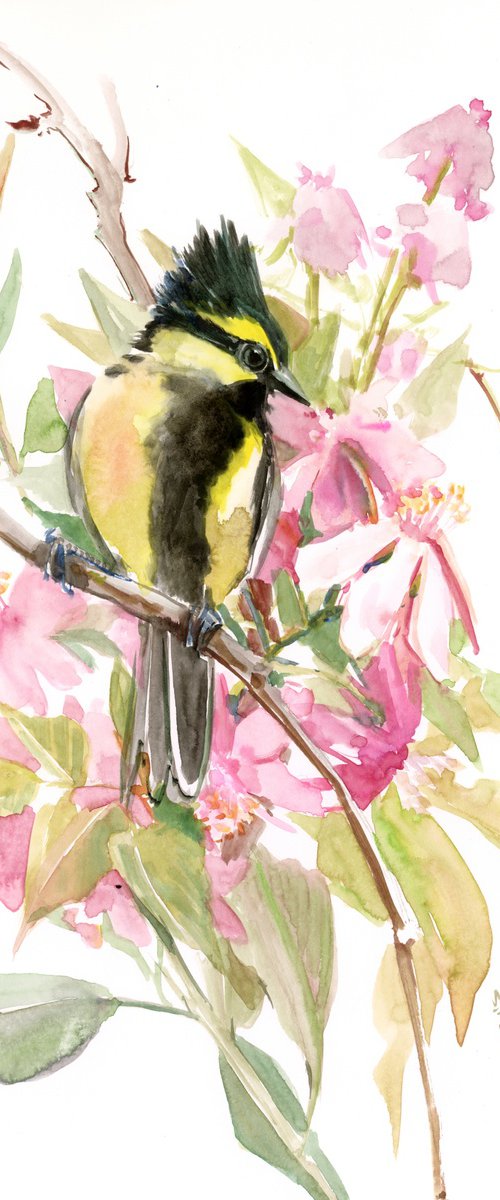 Himalayan black-lored tit, original watercolor painting, birds of Himalayas by Suren Nersisyan