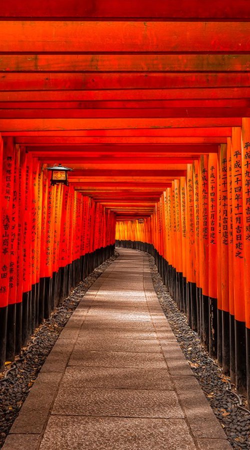 Torii Gates by Nick Psomiadis