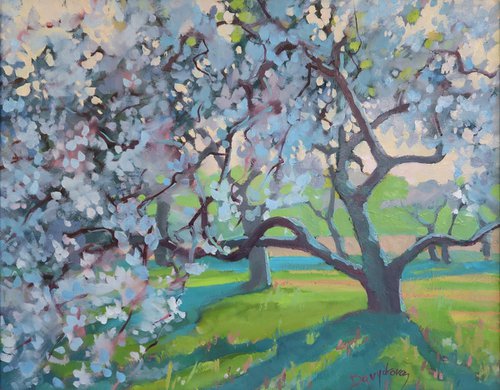 Apple Orchard in Bloom by Diana Davydova