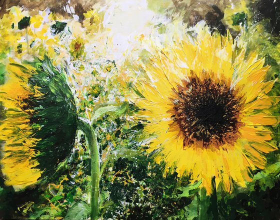 Sunflowers for mum Lot24
