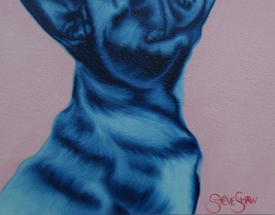Blue Frenchie study on paper