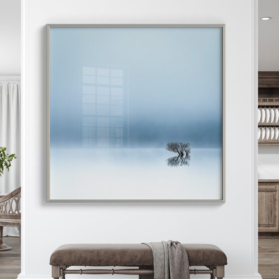 Lost in the mist.....