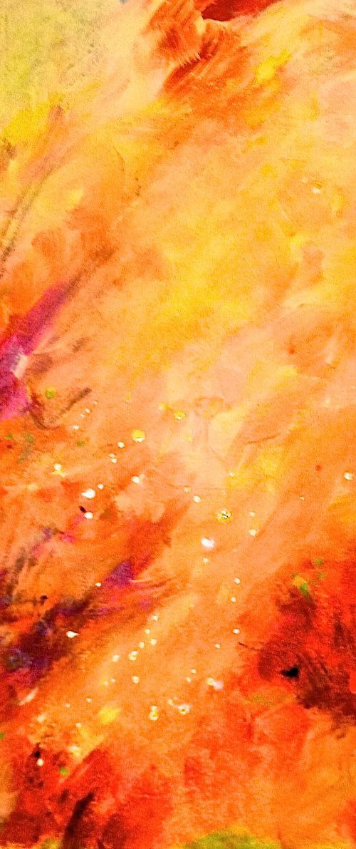 Ablaze by Laura Spring