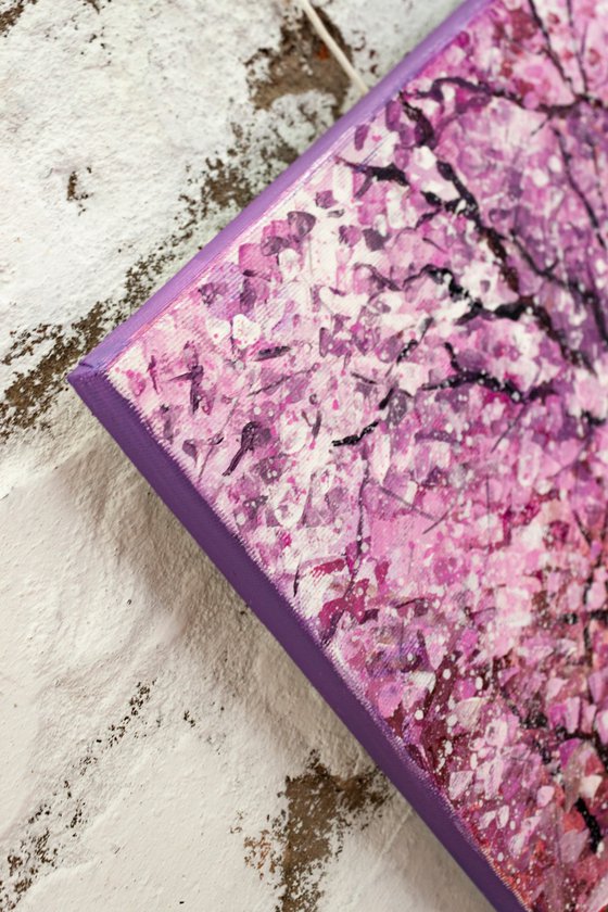 Blooming cherry