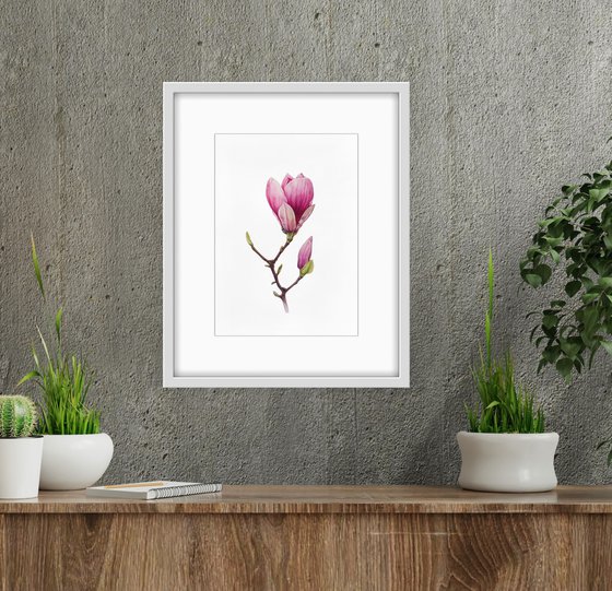 Magnolia blossom. Original watercolor artwork.