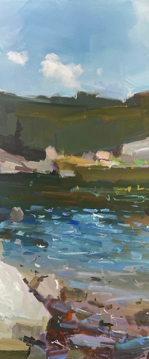 Suceava River by Igor Calinciuc
