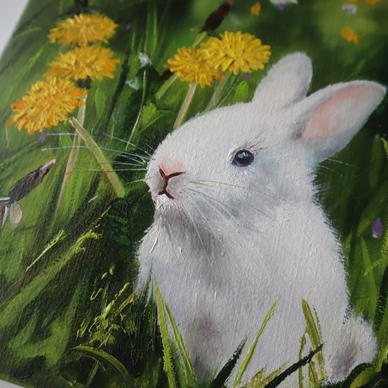 White Rabbit in Dandelions