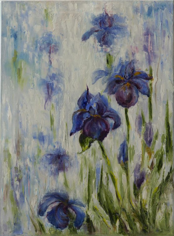 Blue Irises