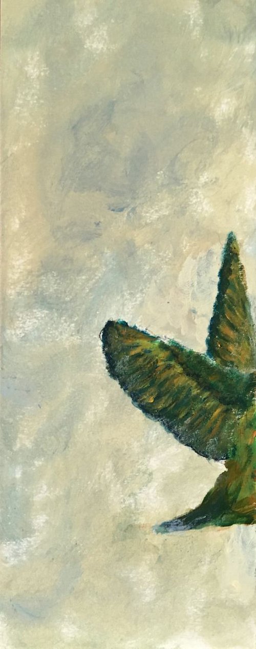 Study of hummingbird V a by Paola Consonni