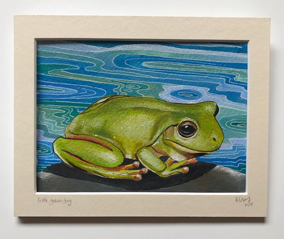 Little green frog