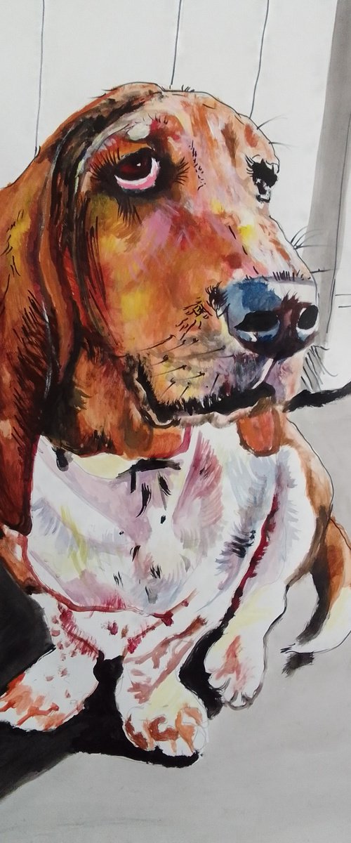 Bassethound by Soso Kumsiashvili