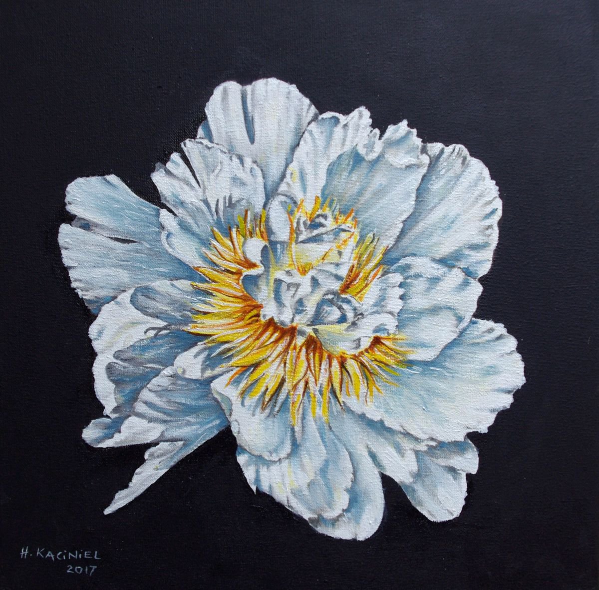 White Flower by Hanna Kaciniel