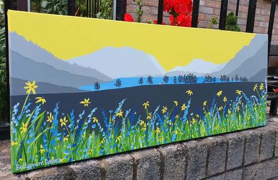 Buttermere Daisies, The Lake District