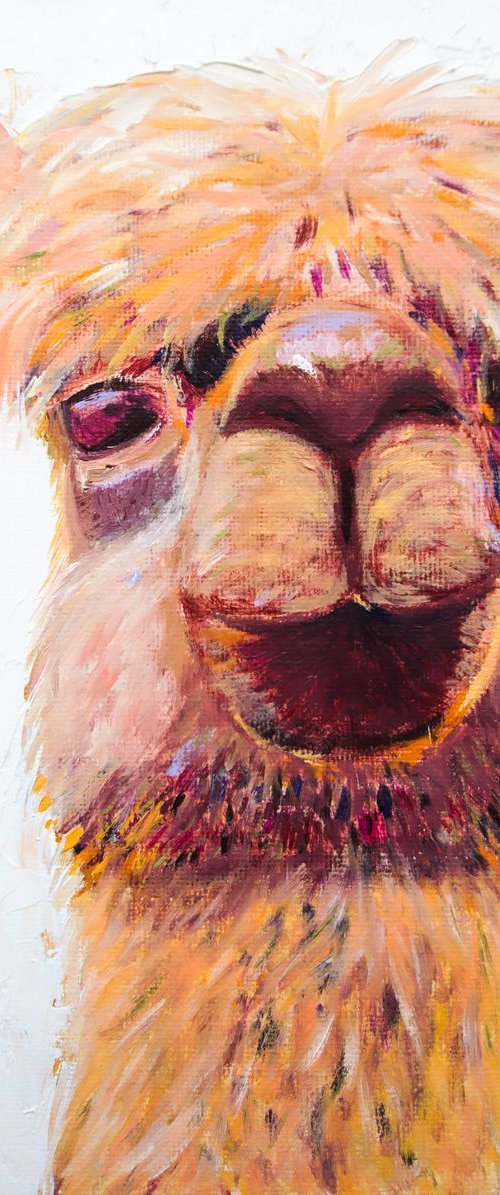 Llama Barry by Van Lanigh