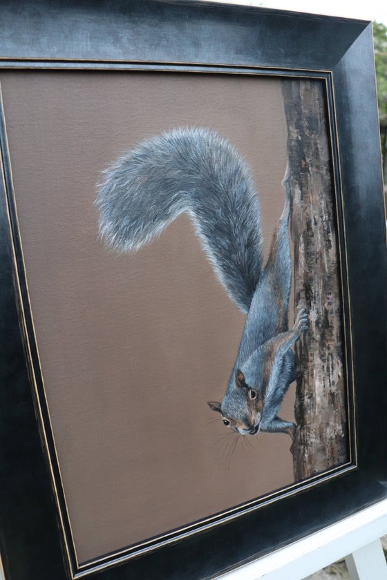 The Cheek of the Squirrel