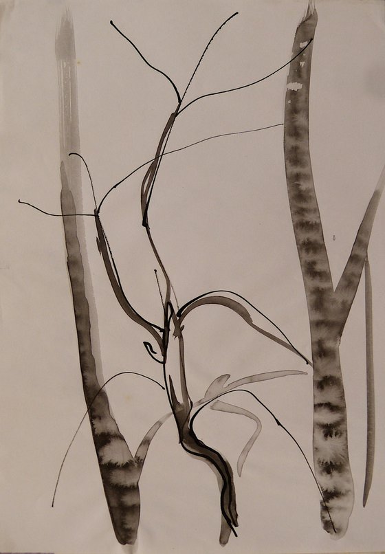 The Tree