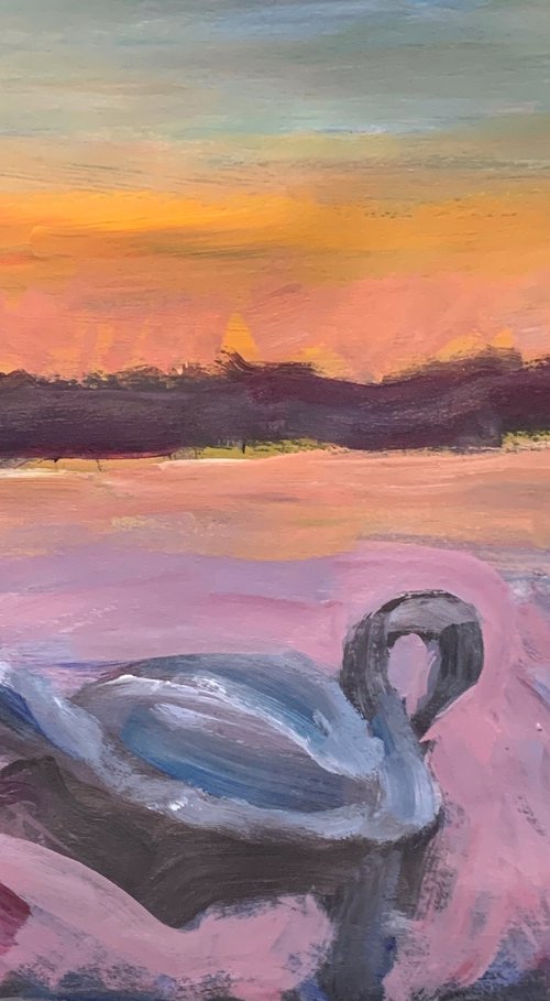 Swan at Sunset by Ryan  Louder