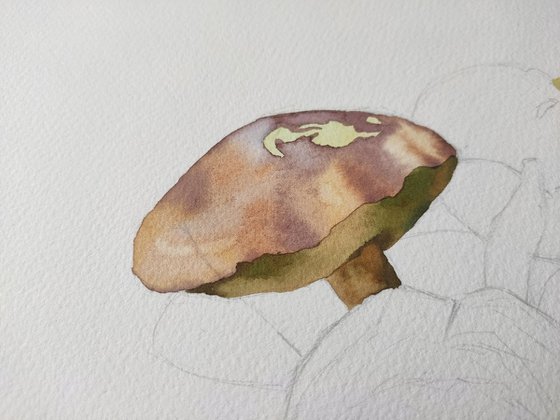 Ukrainian watercolour. Silent hunting. Mushrooms