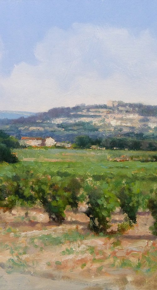 Vineyards near Châteauneuf du Pape by Pascal Giroud