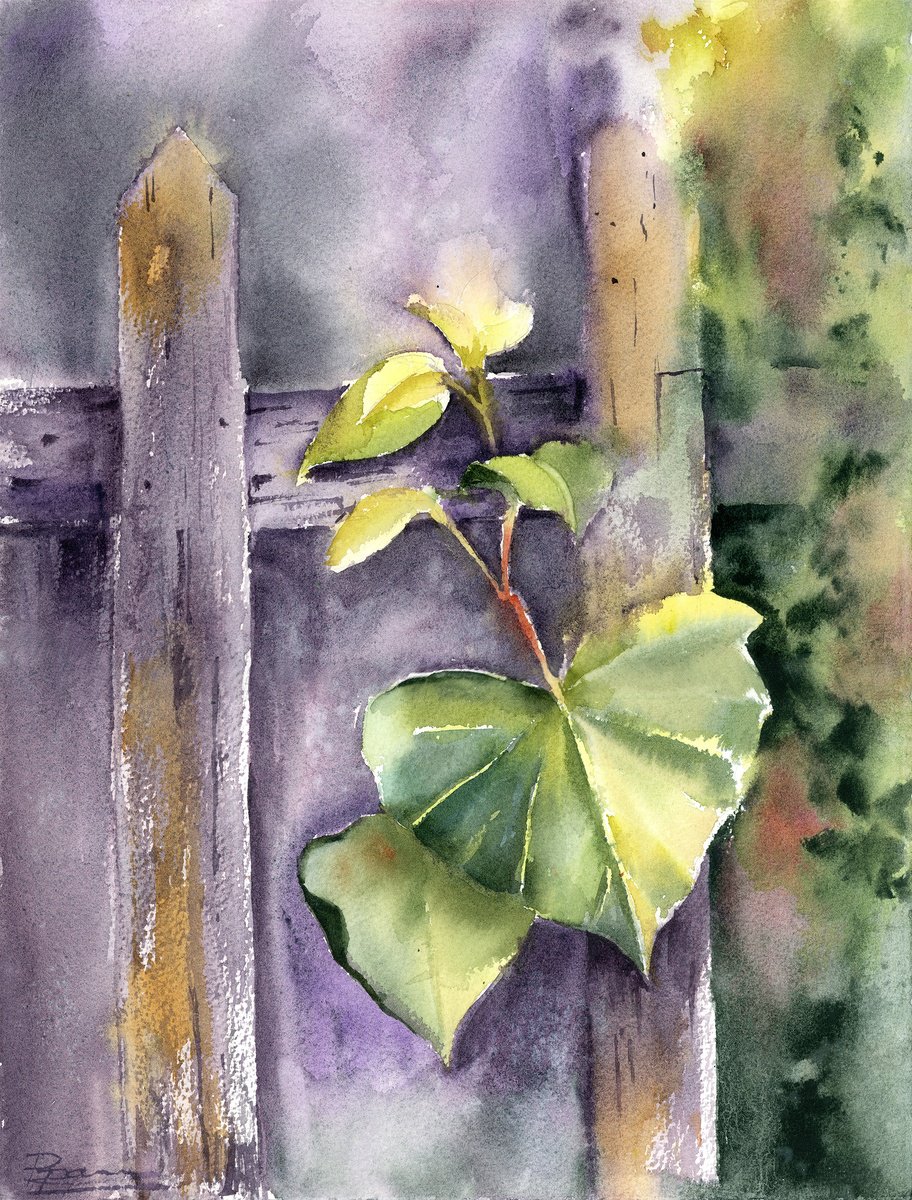 Impressionistic Botanical Watercolour By Olga Tchefranov (Shefranov), 11 X 15", Leaf On The Fence, Original Artwork
