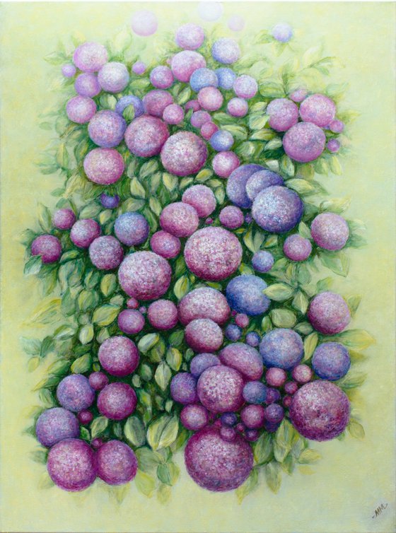 The Hydrangea Galaxy
