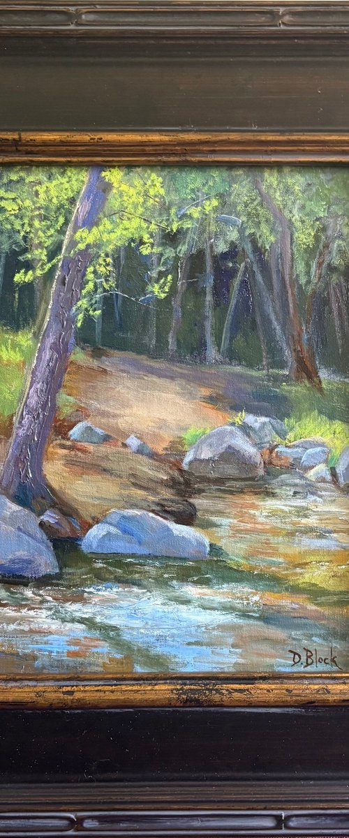 Mountain Stream by David Block