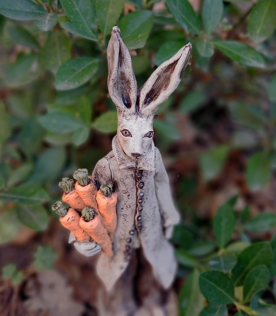 Carrots for the Rabbit