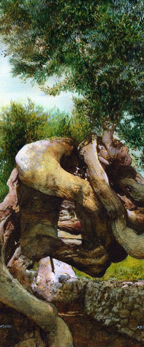 Olive Tree on Greek Island by REME Jr.