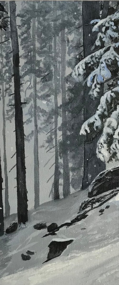 Winter Woods by Alastair Paynter