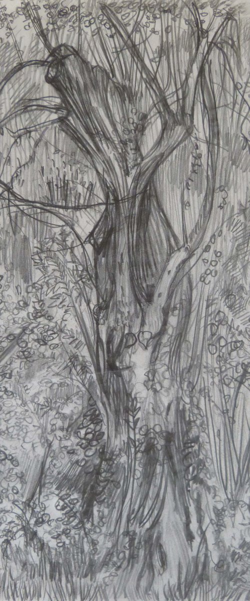 Paysage 69-3, vintage pencil drawing 29x21 cm by Frederic Belaubre
