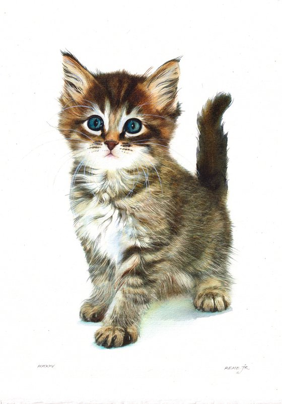 Kitten II