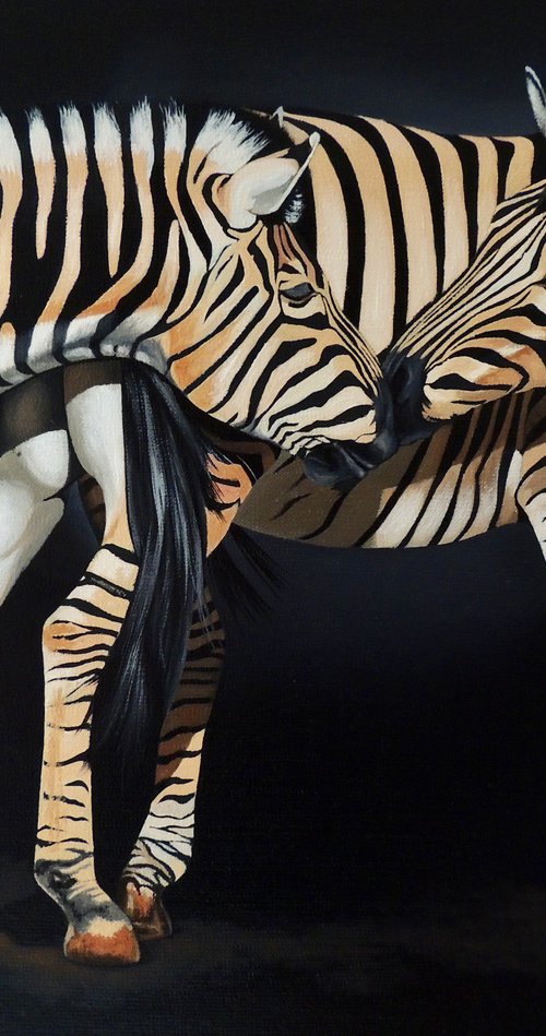 Zebras family by Kakajan Charyyev