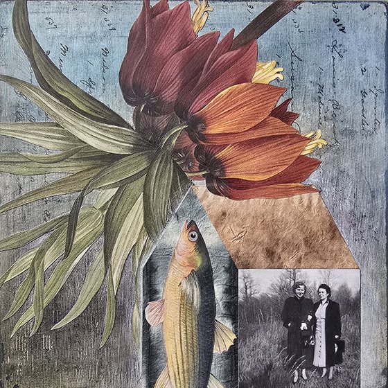 Fritillaria Salmo