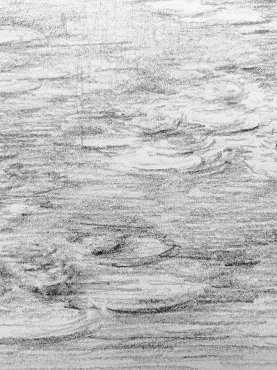 Water lilies. Sketch #1. Original pencil drawing.