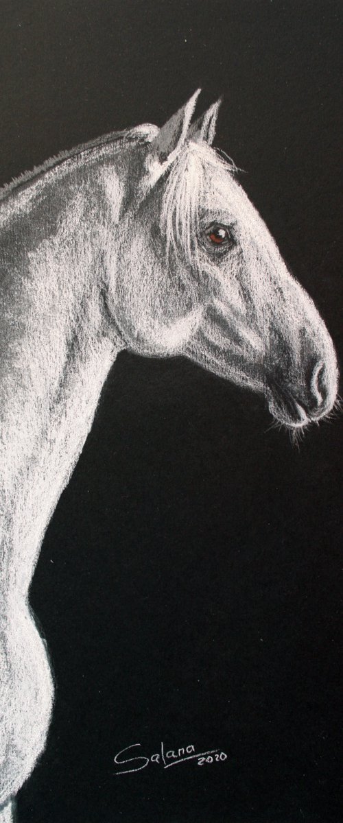 Horse V / Original Painting by Salana Art Gallery