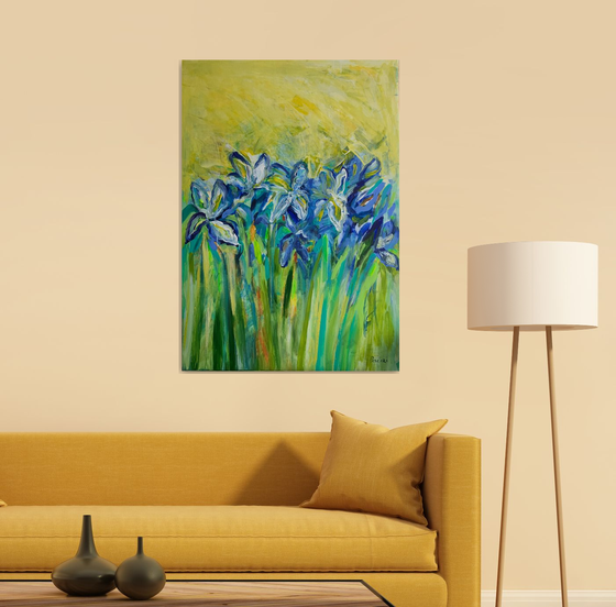 Iris