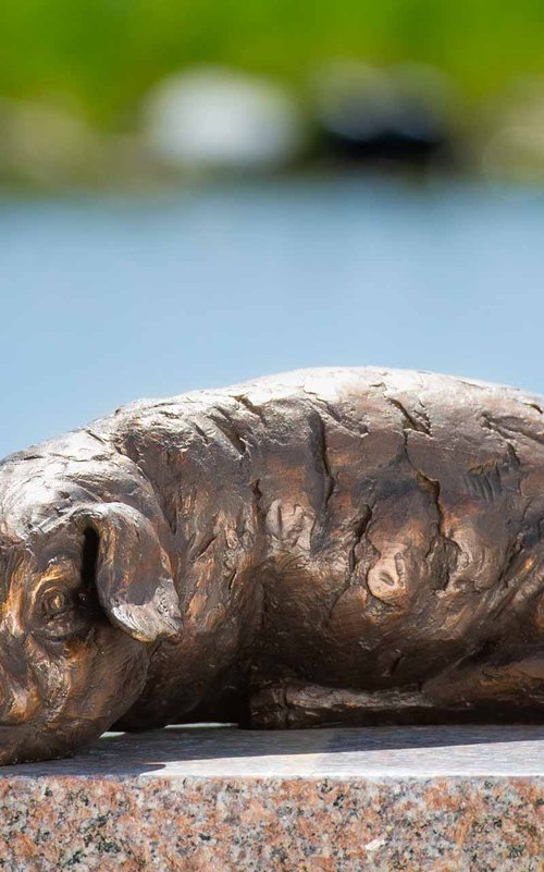 Lying Piglet BR by Tanya Russell