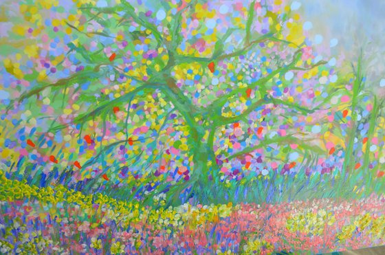 Cherry Blossom Trees 2026