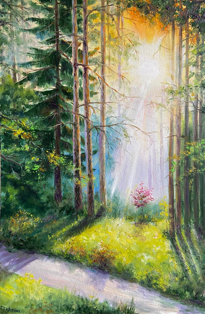 Impressionistic Landscape Oil Painting By Galyna Shevchencko, 16 X 24, Morning Forest, Original Artwork