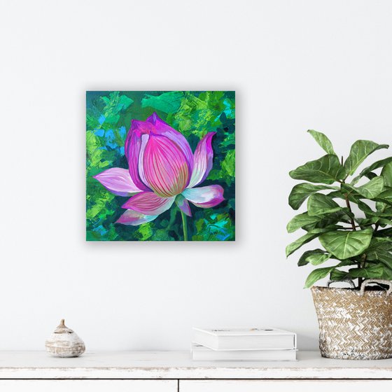 Lotus lily