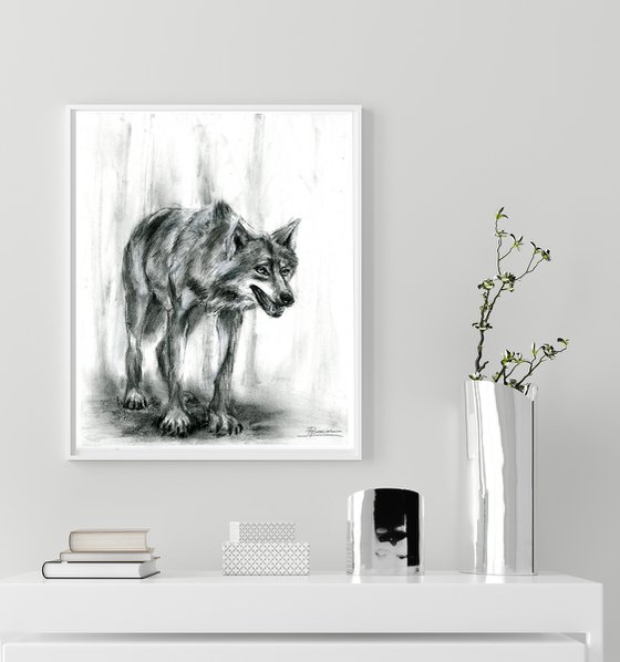 Gray Wolf