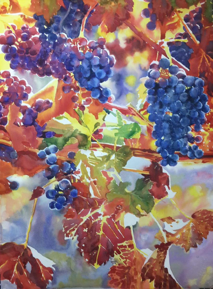 Blue grapes by Yuryy Pashkov