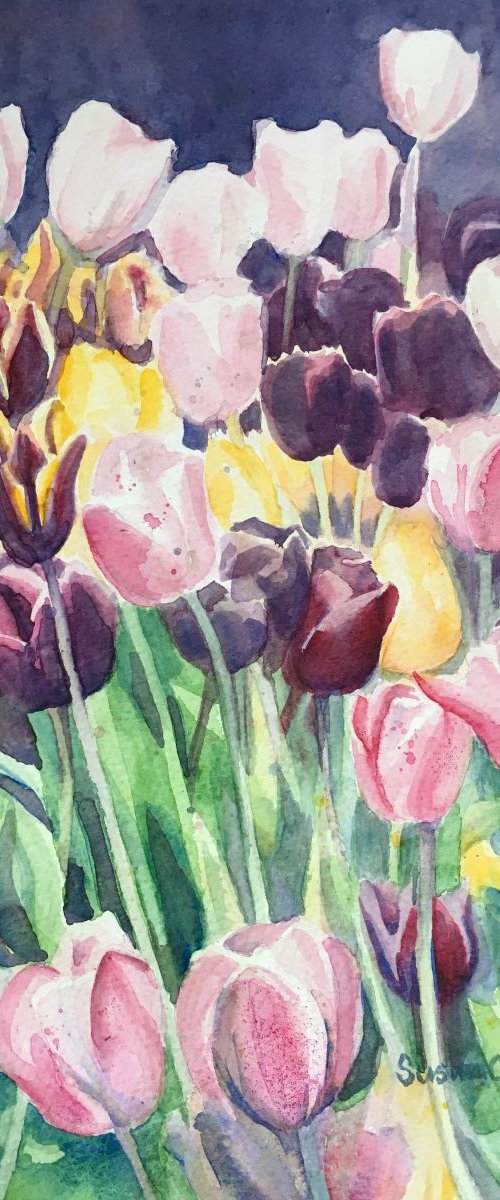 Tulips 2 by Susan Clare