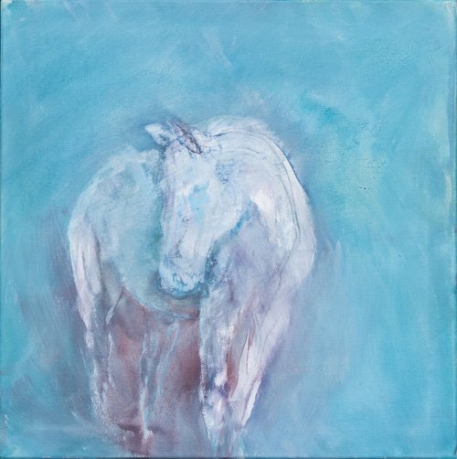 Horse Study 1 by Margit  Platny