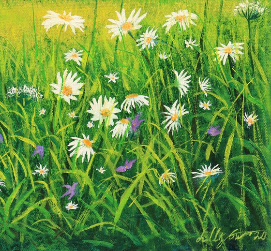 Daisy meadow landscape